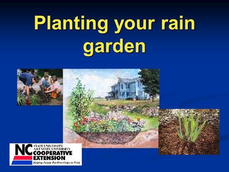 Planting your rain garden. Choices, choices! Low to high density.