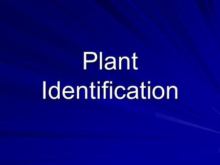 Plant Identification.