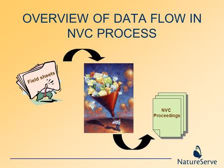 OVERVIEW OF DATA FLOW IN NVC PROCESS Field sheets NVC Proceedings.