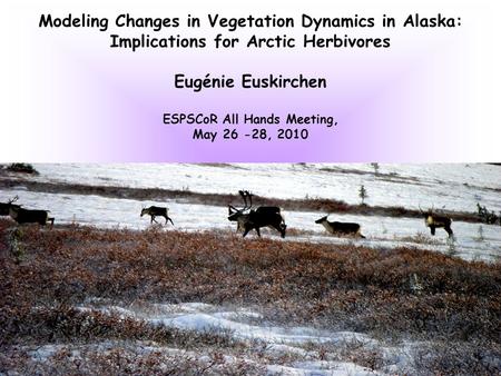 Modeling Changes in Vegetation Dynamics in Alaska: Implications for Arctic Herbivores Eugénie Euskirchen ESPSCoR All Hands Meeting, May 26 -28, 2010.