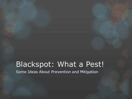 Blackspot: What a Pest! Some Ideas About Prevention and Mitigation.