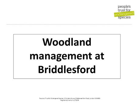 People’s Trust for Endangered Species, 3 Cloisters House, 8 Battersea Park Road, London SW84BG Registered charity no 274206 Woodland management at Briddlesford.