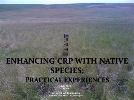 Enhancing CRP With Native Species: PRACTICAL EXPERIENCES