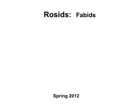 Rosids: Fabids Spring 2012.