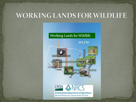 Working Lands for Wildlife WLFW. Focal Areas by Species.