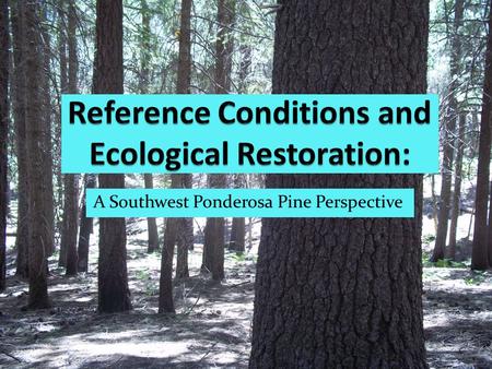 A Southwest Ponderosa Pine Perspective. Term Ecological Restoration: “the process of reestablishing to the extent possible the structure, function, and.