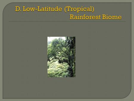  Abundant habitats and niches  Canopy: Emergents: highest trees (150 - 200 ft tall)  no branches at low levels  Buttresses  Umbrella-shaped.