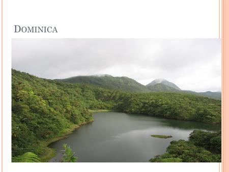 D OMINICA. THEME : L AND U SE Indicator: Forest and other Wood Land Concept and Definition: (Caricom Definition) Forest and Wooded Land – this includes.