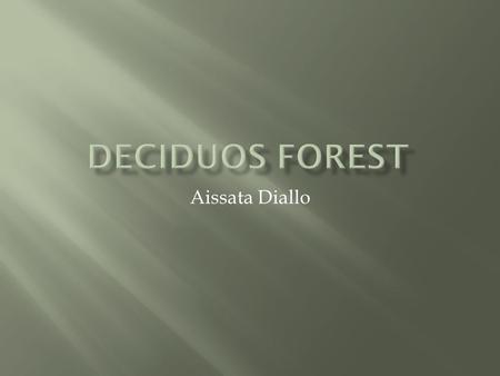 Deciduos forest Aissata Diallo.