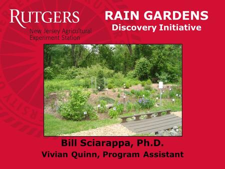 RAIN GARDENS Discovery Initiative Bill Sciarappa, Ph.D. Vivian Quinn, Program Assistant.