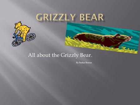 All about the Grizzly Bear. By Parker Breeze. Grizzly bears are omnivores. They eat roots, berries, fungi, fish, small mammals, large insects, moose,
