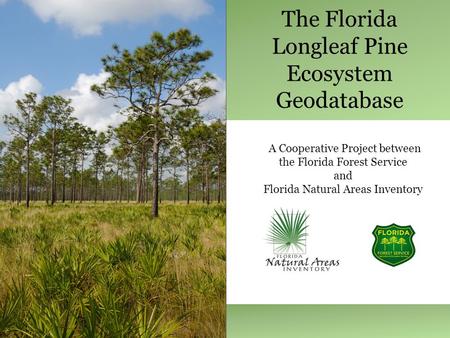 The Florida Longleaf Pine Ecosystem Geodatabase A Cooperative Project between the Florida Forest Service and Florida Natural Areas Inventory.