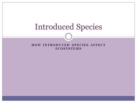 HOW INTRODUCED SPECIES AFFECT ECOSYSTEMS Introduced Species.
