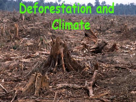 Forests Being Cut Vastly Faster Than They Can Grow Tropical deforestation, as countries scramble to sell off their timber and clear cut so they can grow.