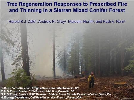 Tree Regeneration Responses to Prescribed Fire and Thinning in a Sierran Mixed Conifer Forest Harold S.J. Zald 1, Andrew N. Gray 2, Malcolm North 3, and.