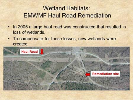 Wetland Habitats: EMWMF Haul Road Remediation In 2005 a large haul road was constructed that resulted in loss of wetlands. To compensate for those losses,