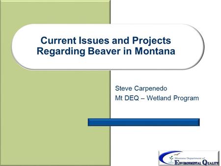 Current Issues and Projects Regarding Beaver in Montana Steve Carpenedo Mt DEQ – Wetland Program.
