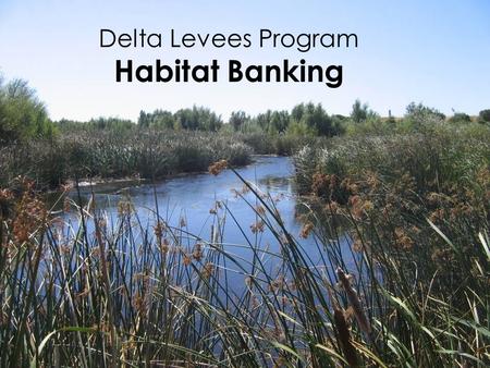 Delta Levees Program Habitat Banking 1. 1100 miles of levees in Delta 2.