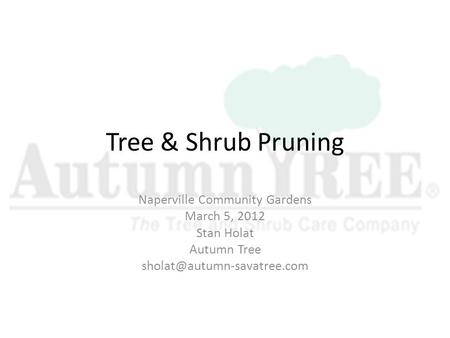 Tree & Shrub Pruning Naperville Community Gardens March 5, 2012 Stan Holat Autumn Tree