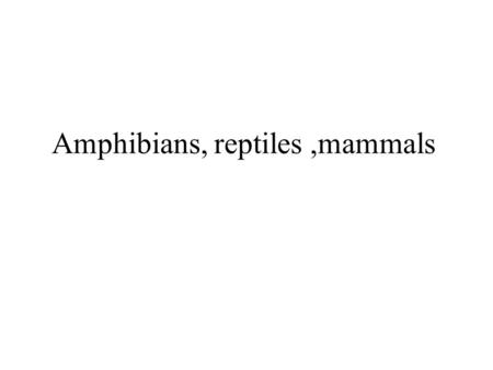 Amphibians, reptiles ,mammals