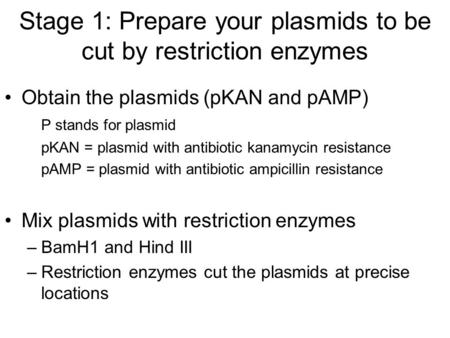 Stage 1: Prepare your plasmids to be cut by restriction enzymes Obtain the plasmids (pKAN and pAMP) P stands for plasmid pKAN = plasmid with antibiotic.