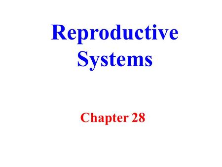 Reproductive Systems Chapter 28.