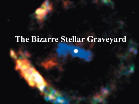 The Bizarre Stellar Graveyard. White Dwarfs Our goals for learning What is a white dwarf? What can happen to a white dwarf in a close binary system?