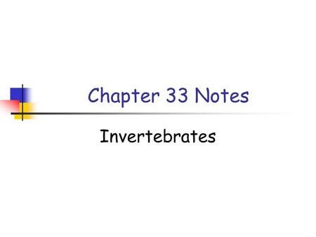 Chapter 33 Notes Invertebrates.