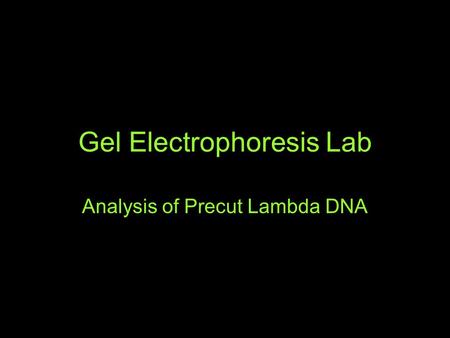 Gel Electrophoresis Lab Analysis of Precut Lambda DNA.