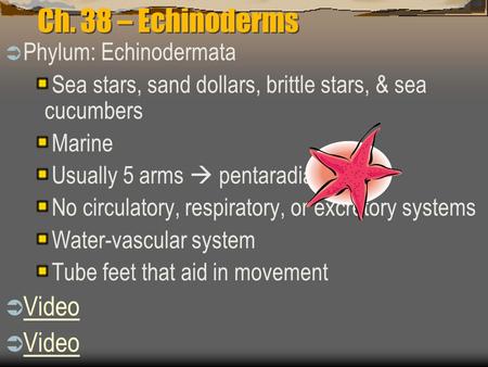 Ch. 38 – Echinoderms  Phylum: Echinodermata Sea stars, sand dollars, brittle stars, & sea cucumbers Marine Usually 5 arms  pentaradial No circulatory,
