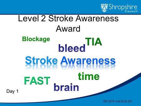 Level 2 Stroke Awareness Award