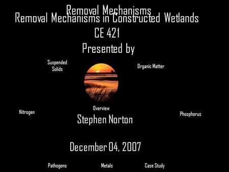 Removal Mechanisms in Constructed Wetlands CE 421 Presented by