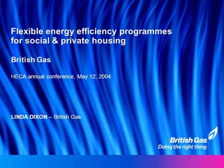Flexible energy efficiency programmes for social & private housing British Gas HECA annual conference, May 12, 2004 LINDA DIXON – British Gas.