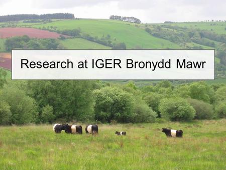 Research at IGER Bronydd Mawr. Less Favoured Areas (LFAs) Hill and upland farming: Utilises 42% of UK agricultural land Carries >60% of UK breeding cattle.