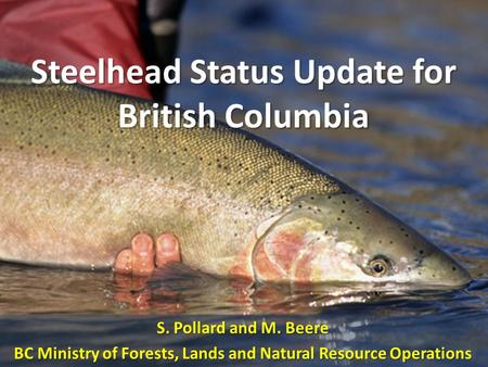 Steelhead Status Update for British Columbia S. Pollard and M. Beere BC Ministry of Forests, Lands and Natural Resource Operations.