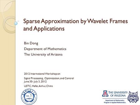 Sparse Approximation by Wavelet Frames and Applications