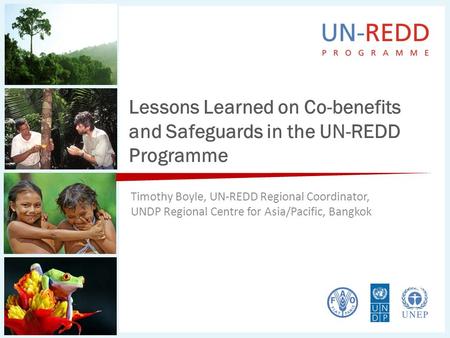 Lessons Learned on Co-benefits and Safeguards in the UN-REDD Programme Timothy Boyle, UN-REDD Regional Coordinator, UNDP Regional Centre for Asia/Pacific,