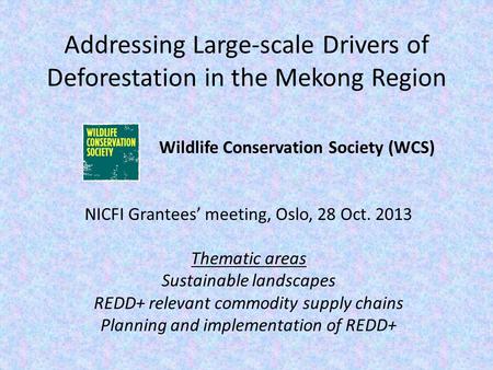 Addressing Large-scale Drivers of Deforestation in the Mekong Region Wildlife Conservation Society (WCS) NICFI Grantees’ meeting, Oslo, 28 Oct. 2013 Thematic.
