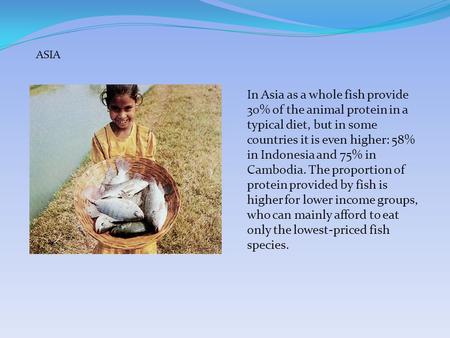 In Asia as a whole fish provide 30% of the animal protein in a typical diet, but in some countries it is even higher: 58% in Indonesia and 75% in Cambodia.