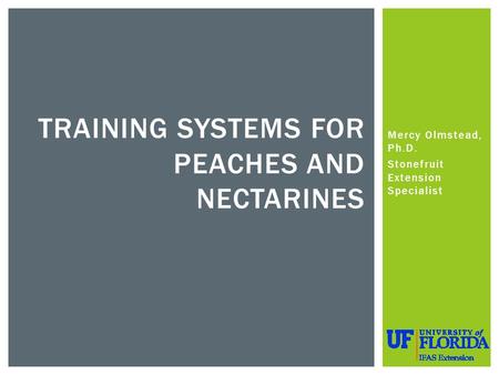 Mercy Olmstead, Ph.D. Stonefruit Extension Specialist TRAINING SYSTEMS FOR PEACHES AND NECTARINES.