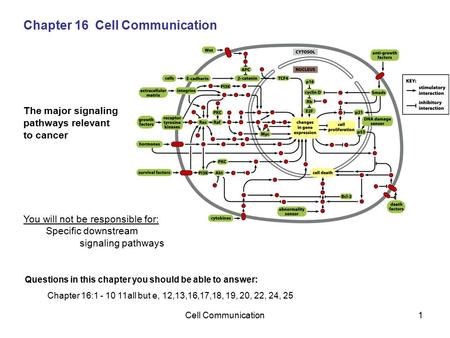 Chapter 16 Cell Communication