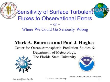 1 st Joint GOSUD/SAMOS Workshop The Florida State University 1 Sensitivity of Surface Turbulent Fluxes to Observational Errors  or.