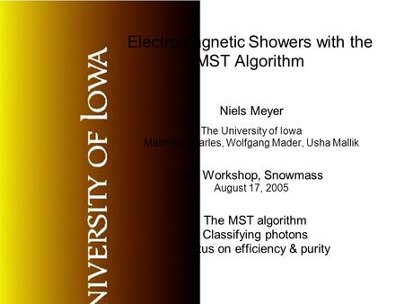 Electromagnetic Showers with the MST Algorithm Niels Meyer The University of Iowa Matthew Charles, Wolfgang Mader, Usha Mallik ILC Workshop, Snowmass August.