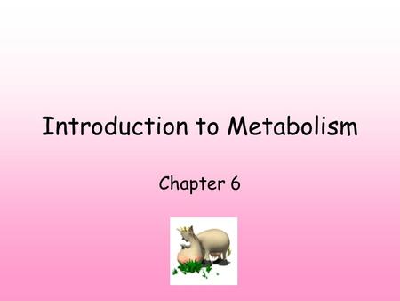 Introduction to Metabolism Chapter 6. Metabolism - sum of organism’s chemical processes. Enzymes start processes. Catabolic pathways release energy (breaks.