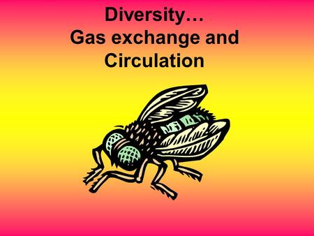 Diversity… Gas exchange and Circulation