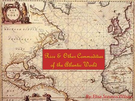 Rice & Other Commodities of the Atlantic World By: Elise Stevens Wilson.