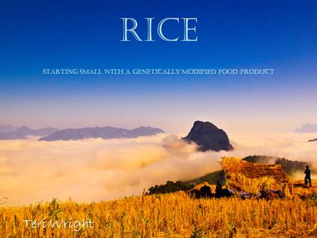 Rice starting small with a Genetically Modified food product Teri Wright.