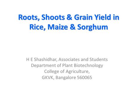Roots, Shoots & Grain Yield in Rice, Maize & Sorghum H E Shashidhar, Associates and Students Department of Plant Biotechnology College of Agriculture,