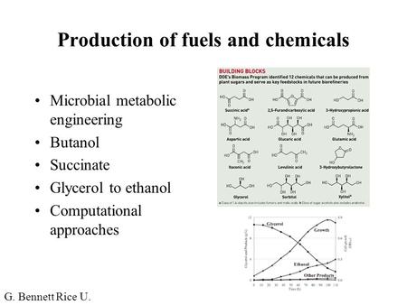 Production of fuels and chemicals Microbial metabolic engineering Butanol Succinate Glycerol to ethanol Computational approaches G. Bennett Rice U.