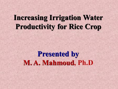 Increasing Irrigation Water Productivity for Rice Crop Presented by M. A. Mahmoud M. A. Mahmoud, Ph.D.
